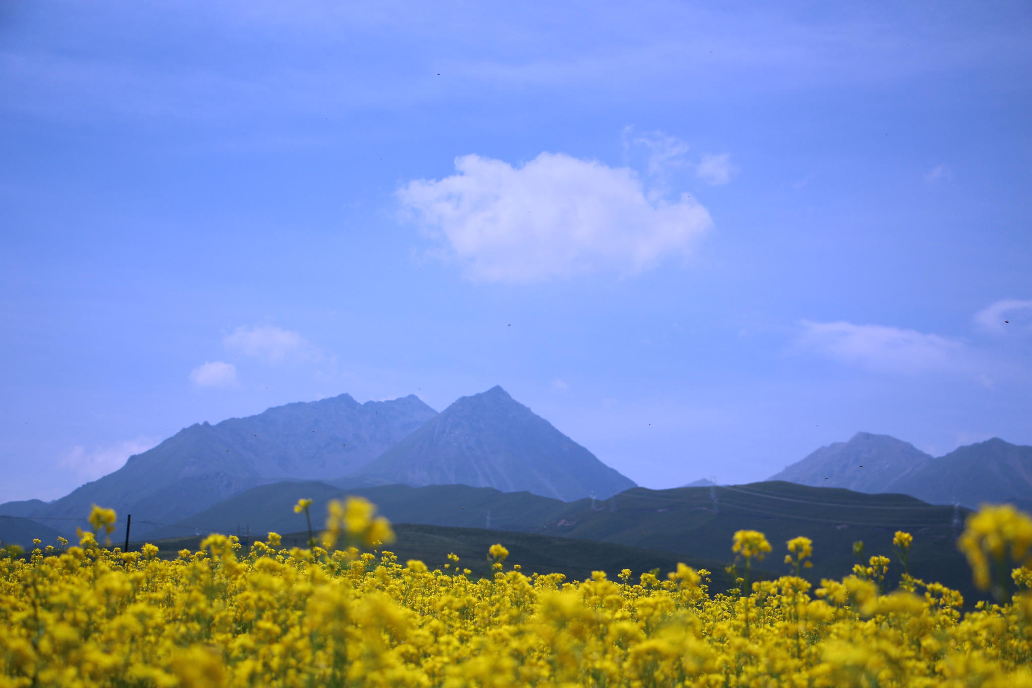 應許之日--青海遊,青海旅遊攻略-遊俠客社區