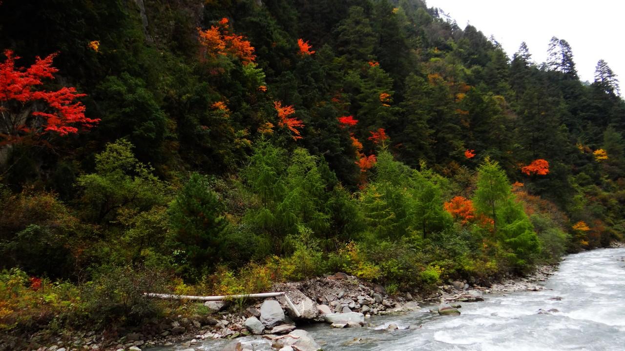 四姑娘山 雙橋溝景點