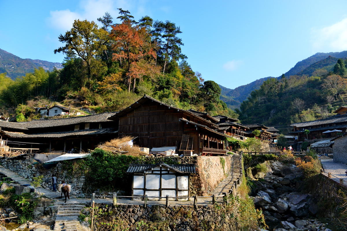 林坑古村落,红枫古道,廊桥摄影,林坑旅游攻略