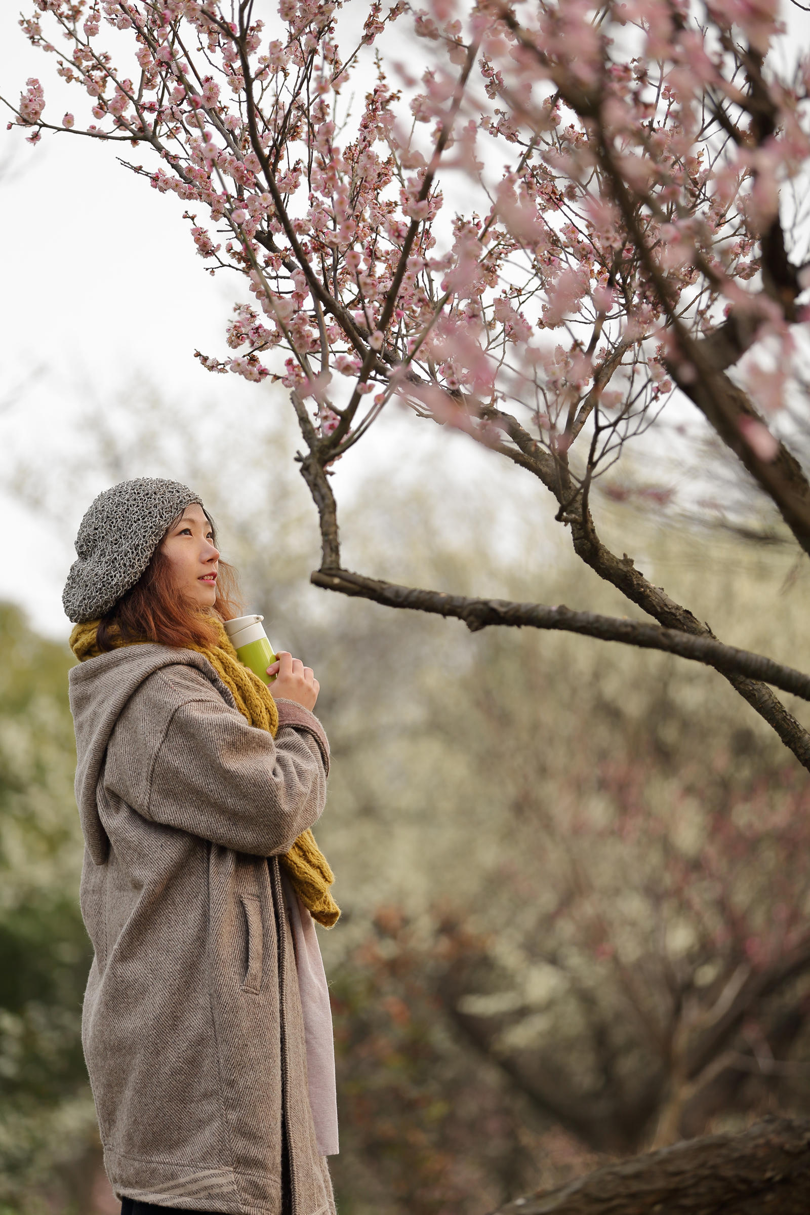 梅园梅花赏梅赞美咏梅