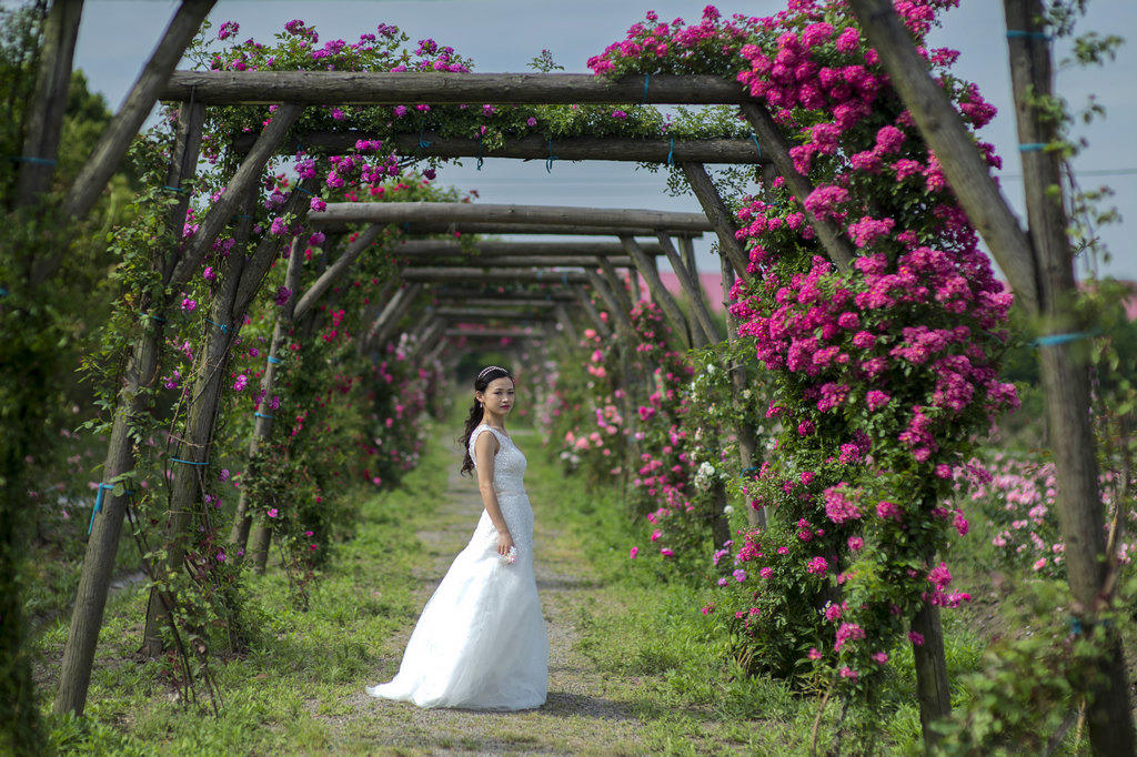 【玫瑰游女郎】白马王子心中的女神(6号小可姑娘)请为.