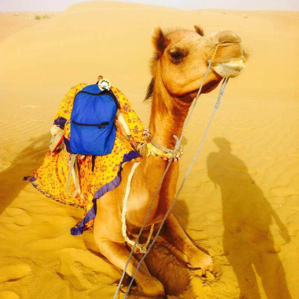 租骆驼和三哥在沙漠露营看星空,半夜醒来,一嘴巴的沙.