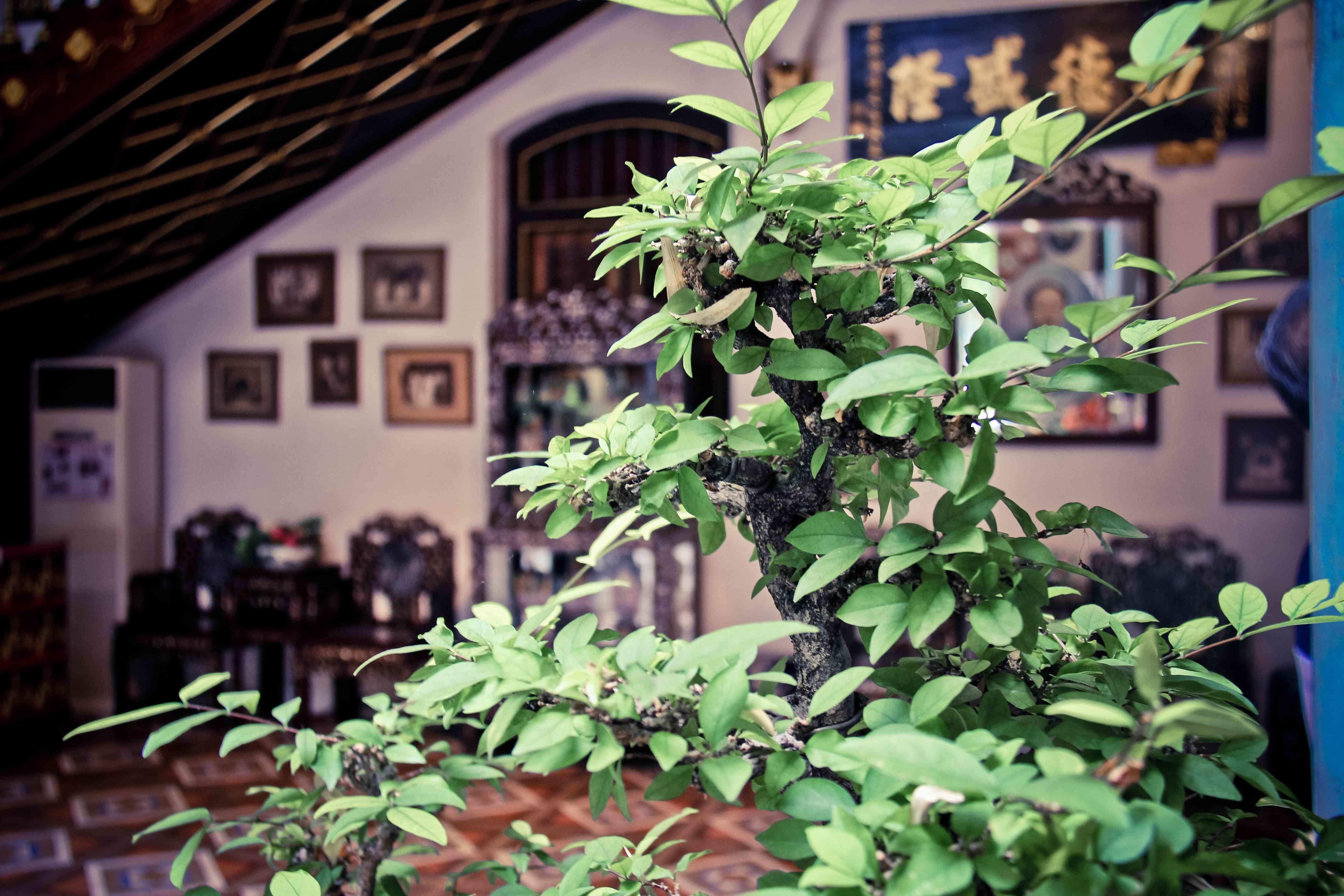 我在槟城学烹饪