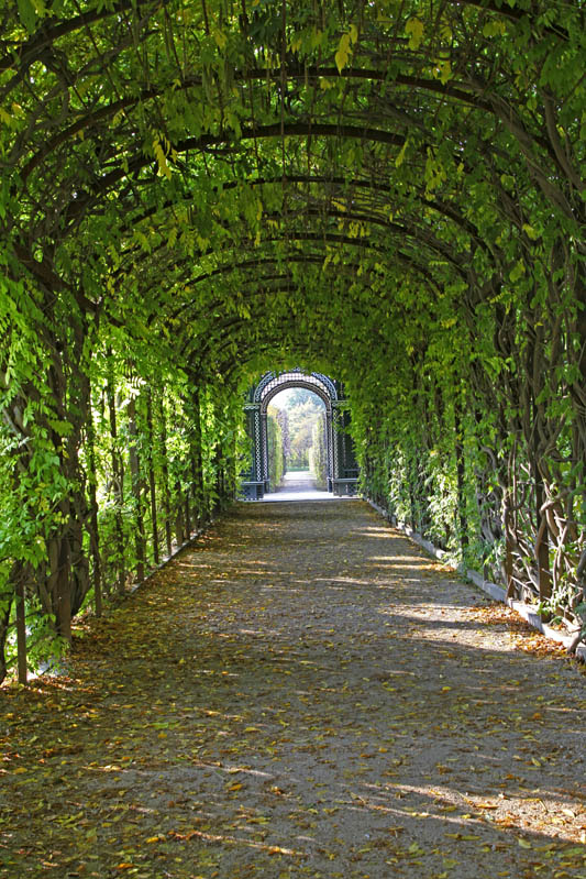 奥地利豪华的美泉宫花园