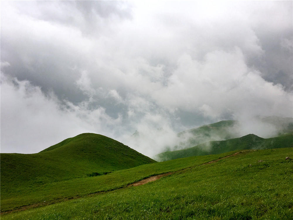 天上白玉京,五樓十二城;地上武功山,雲霧染芳茵