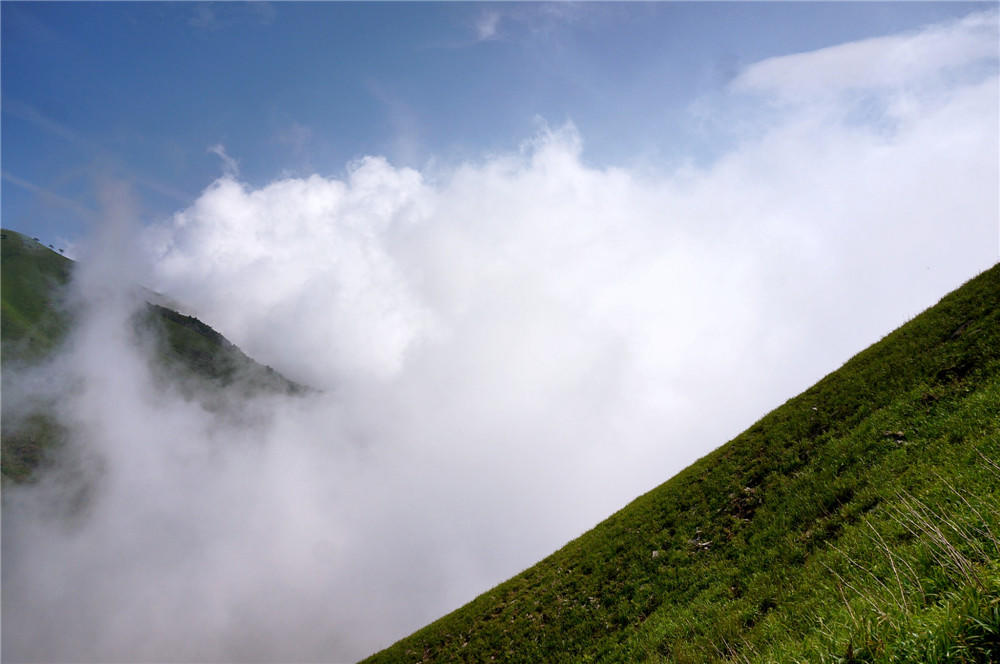 天上白玉京,五樓十二城;地上武功山,雲霧染芳茵