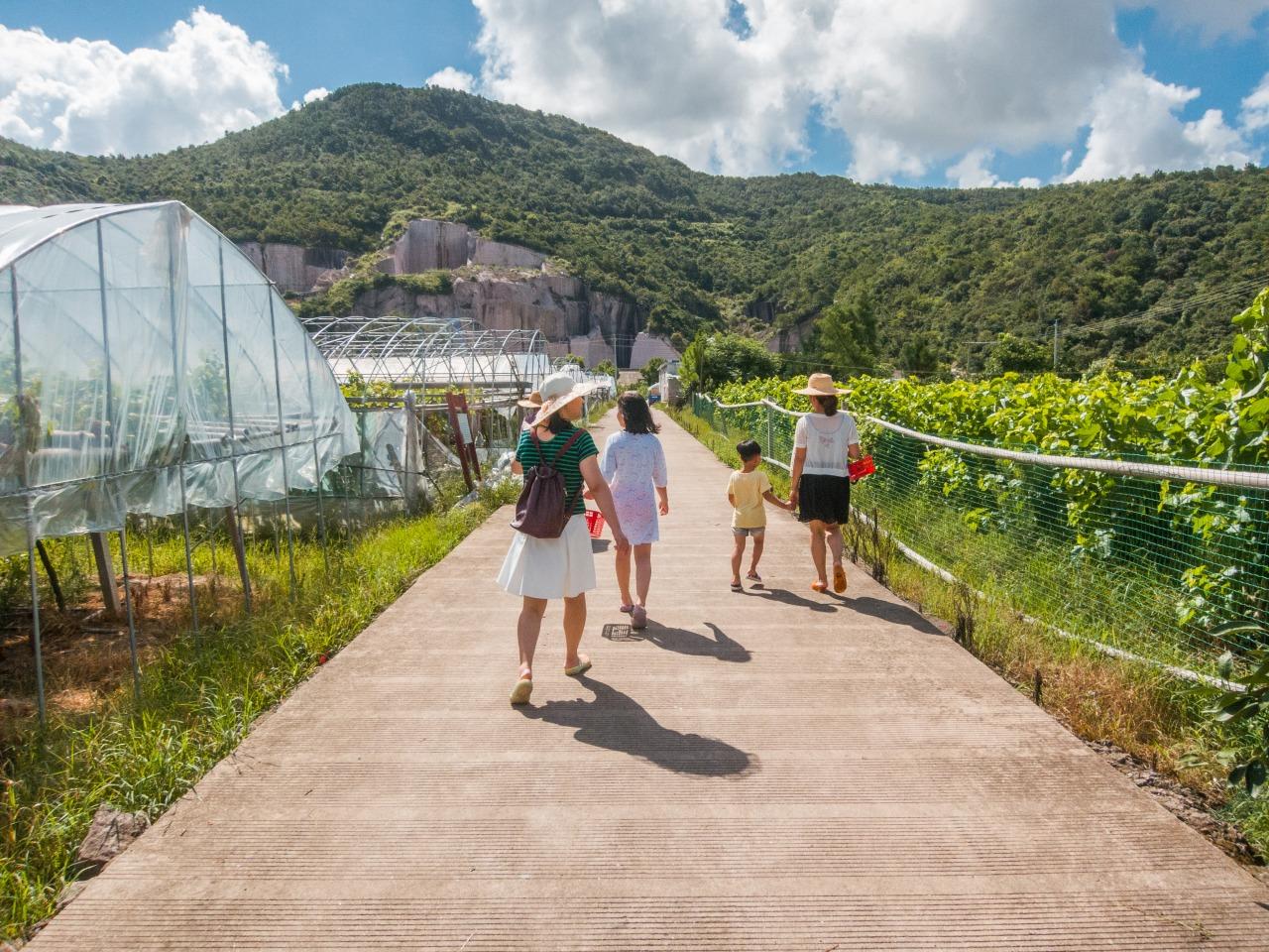 鹤浦岛休闲2日游-----苏州站首发,鹤浦岛旅游攻略-游侠客社区