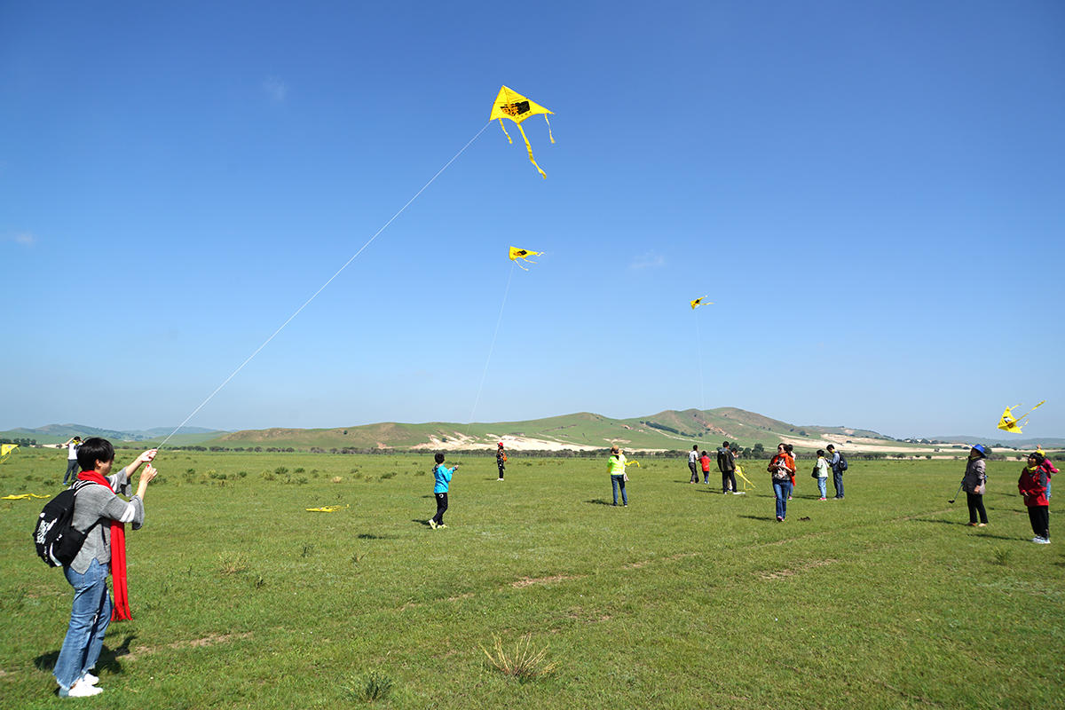 想找块放风筝的地方也不容易,可是在坝上草原,若干个飞机场大的草地上