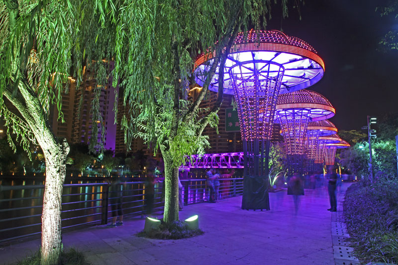 杭州西湖文化广场变幻蘑菇灯欣赏
