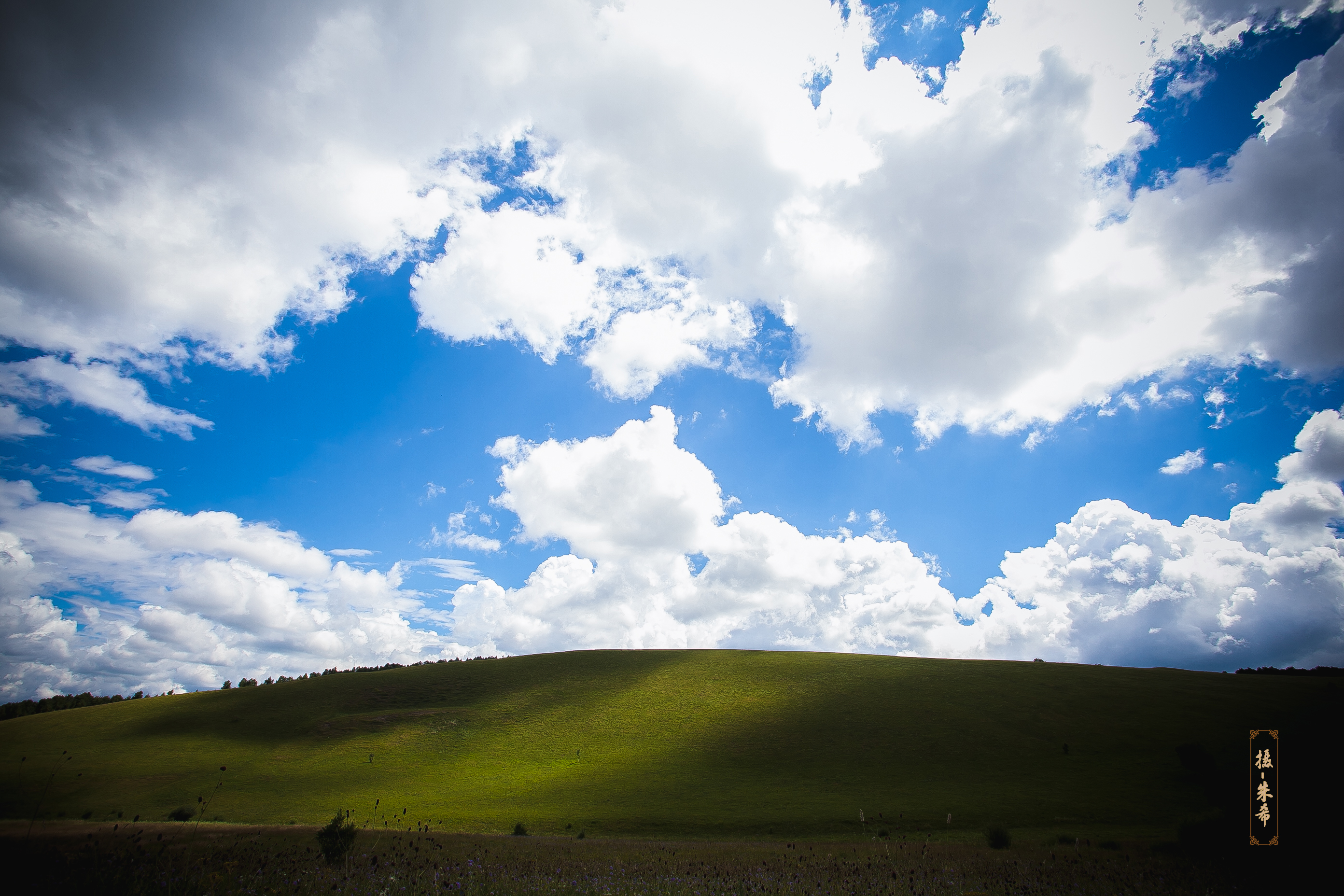 【梦中的额吉】8.6-11 坝上草原之行,旅游攻略-游侠客社区