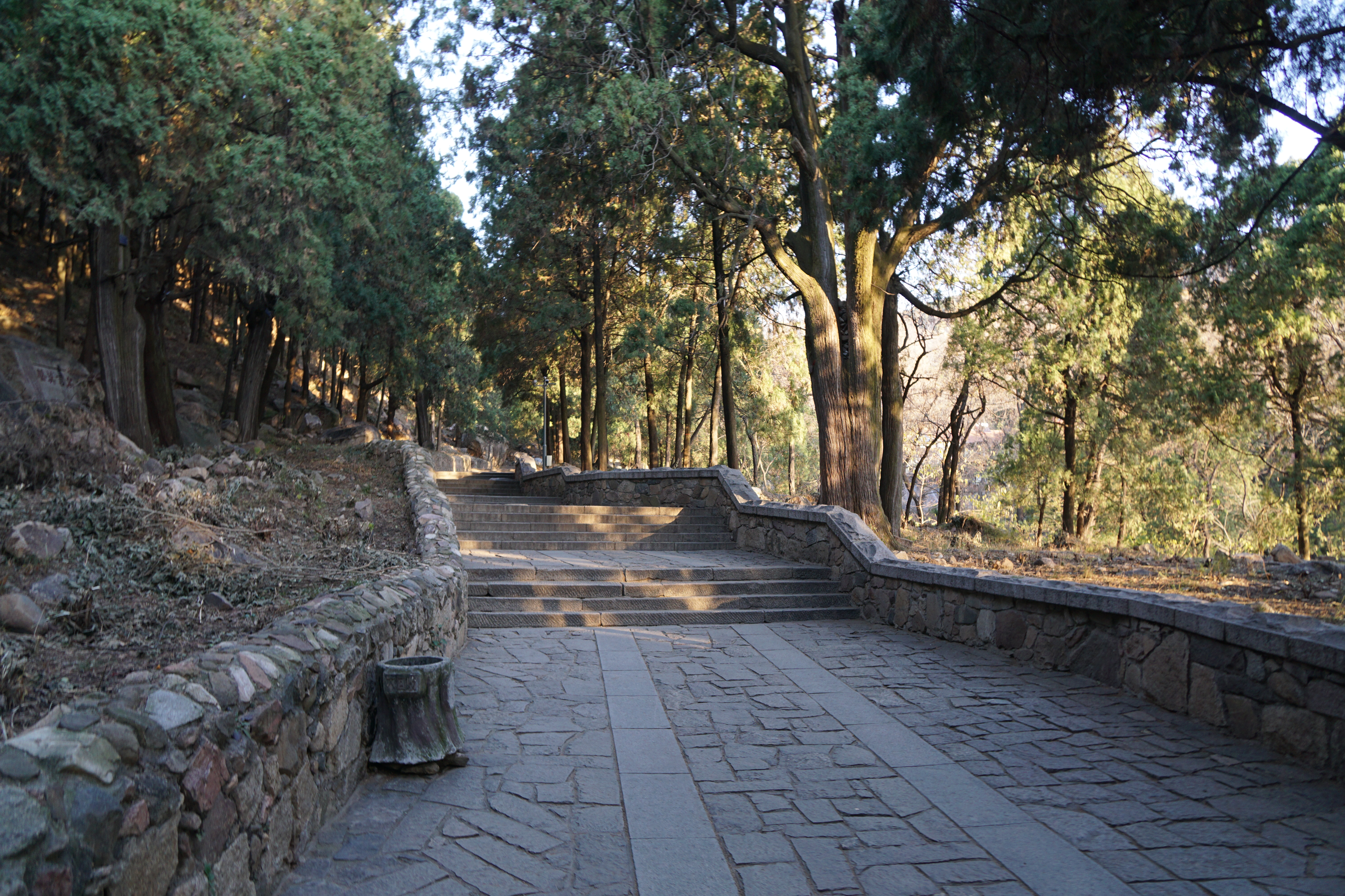 東嶽泰山