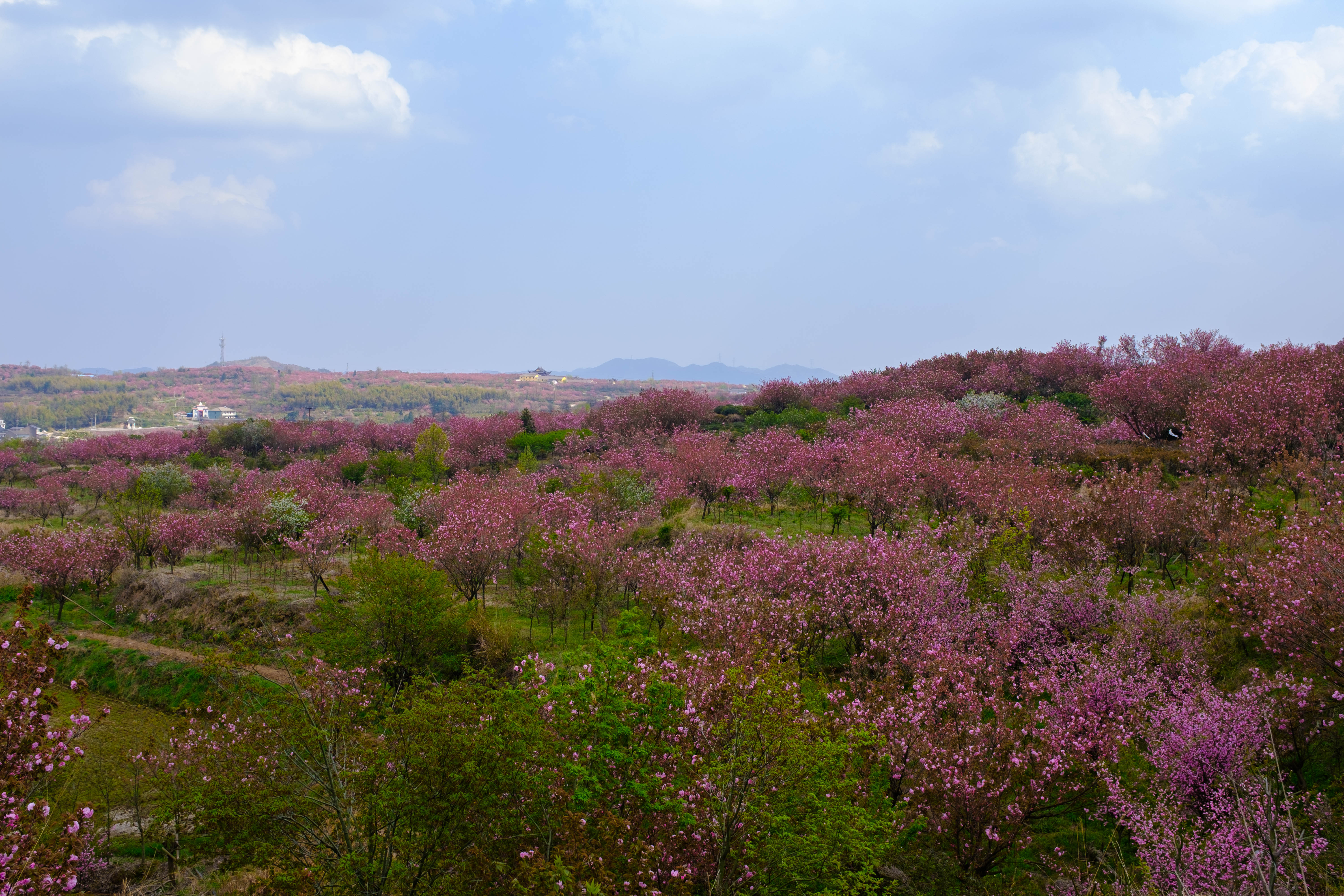 【江南无量山首发】