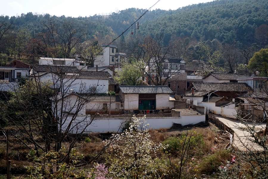 #2018春季花事# # 2018年3月17-23日随游侠客摄影团7日游东川红土地、罗平看油菜花、云阳红河哈尼族梯田、蒙自碧色寨《冯小刚芳华拍摄地》