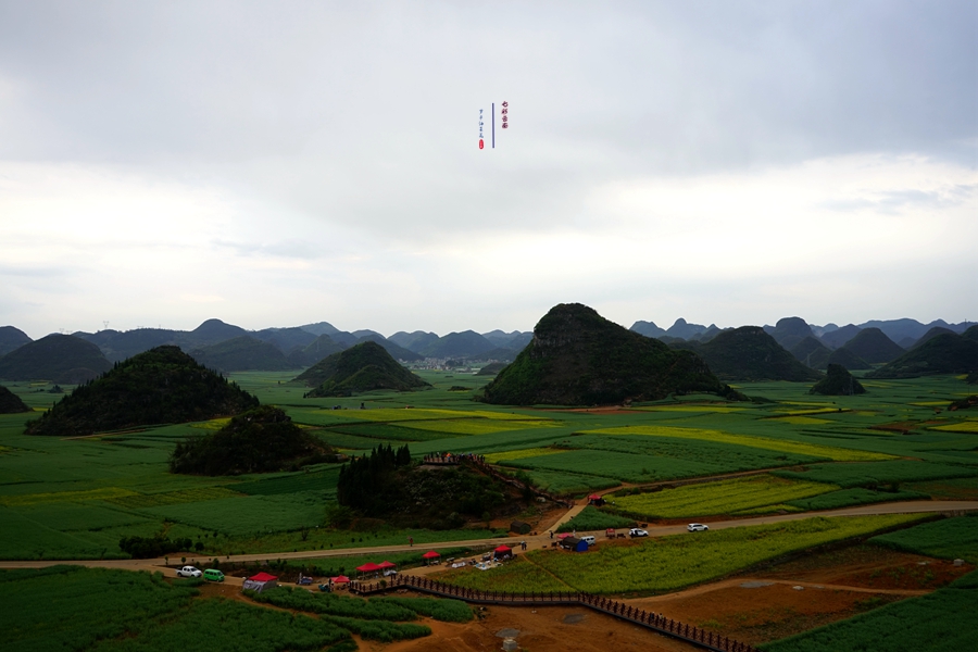 #2018春季花事# # 2018年3月17-23日随游侠客摄影团7日游东川红土地、罗平看油菜花、云阳红河哈尼族梯田、蒙自碧色寨《冯小刚芳华拍摄地》