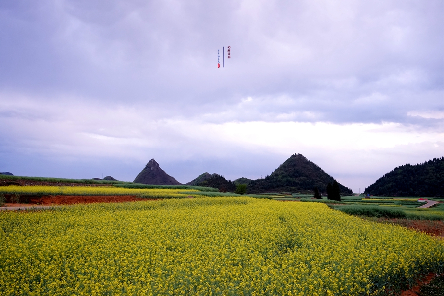 #2018春季花事# # 2018年3月17-23日随游侠客摄影团7日游东川红土地、罗平看油菜花、云阳红河哈尼族梯田、蒙自碧色寨《冯小刚芳华拍摄地》