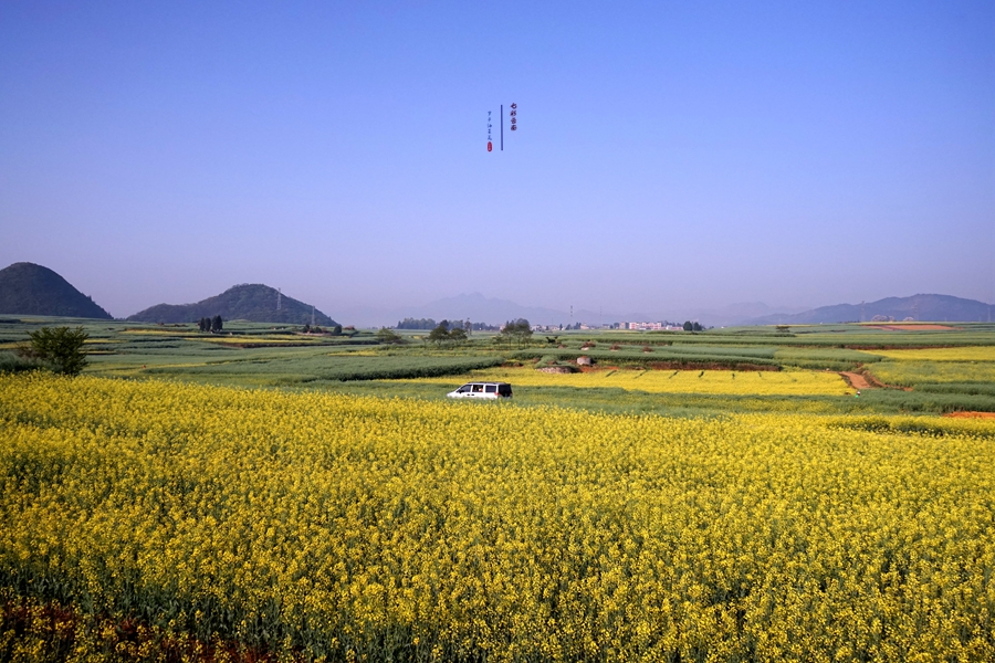 #2018春季花事# # 2018年3月17-23日随游侠客摄影团7日游东川红土地、罗平看油菜花、云阳红河哈尼族梯田、蒙自碧色寨《冯小刚芳华拍摄地》