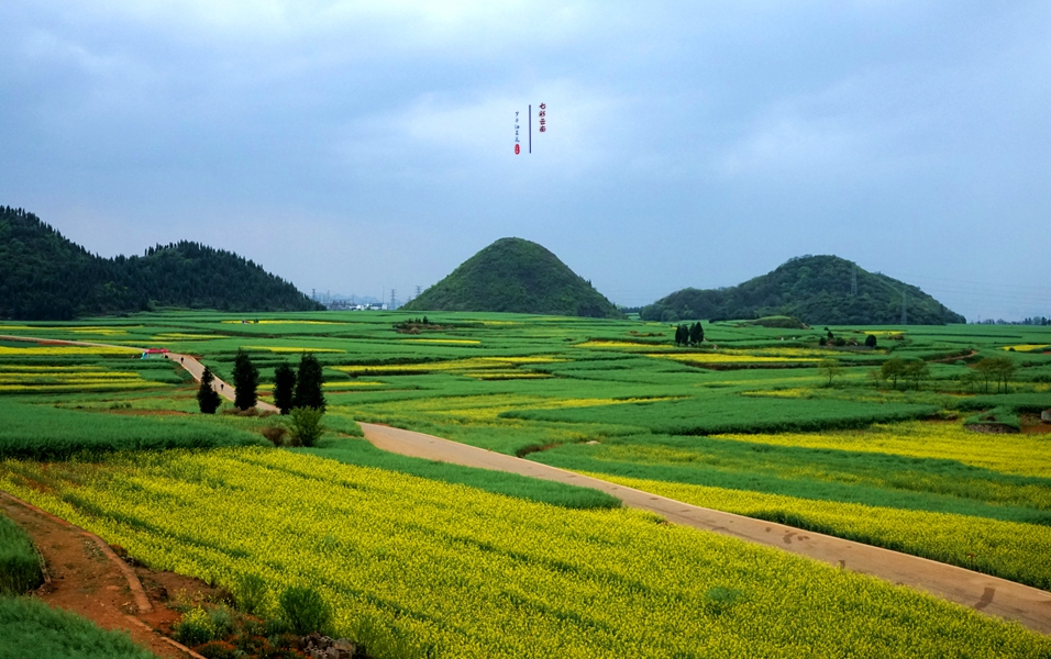 #2018春季花事# # 2018年3月17-23日随游侠客摄影团7日游东川红土地、罗平看油菜花、云阳红河哈尼族梯田、蒙自碧色寨《冯小刚芳华拍摄地》