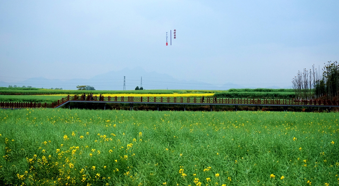 #2018春季花事# # 2018年3月17-23日随游侠客摄影团7日游东川红土地、罗平看油菜花、云阳红河哈尼族梯田、蒙自碧色寨《冯小刚芳华拍摄地》