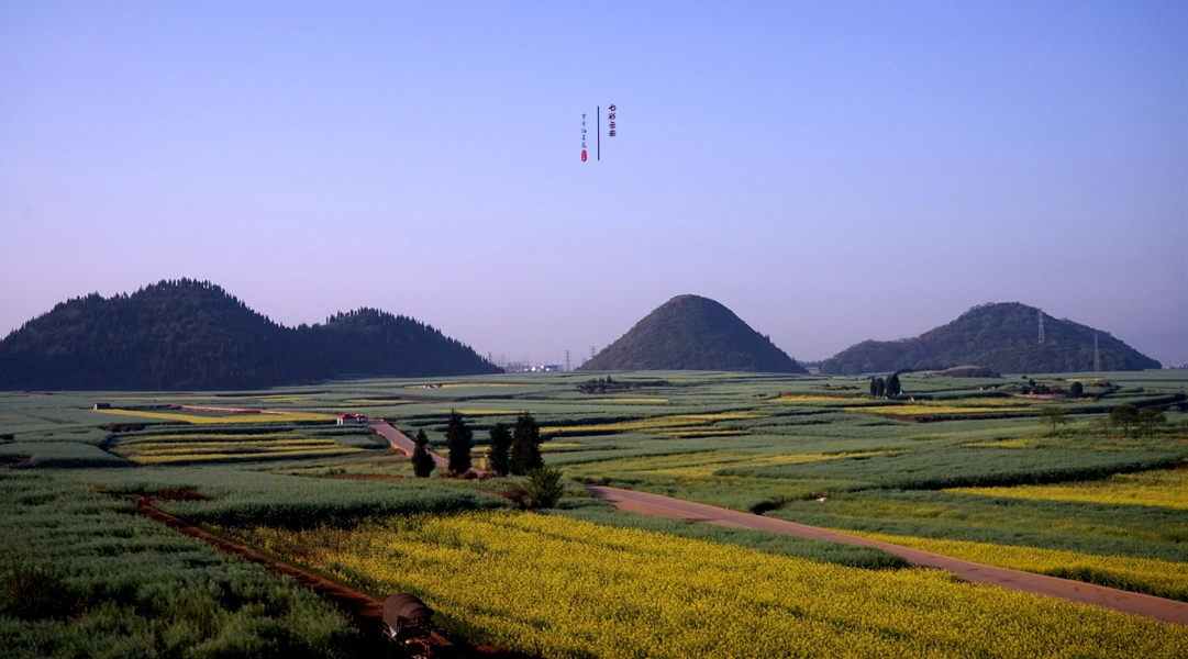 #2018春季花事# # 2018年3月17-23日随游侠客摄影团7日游东川红土地、罗平看油菜花、云阳红河哈尼族梯田、蒙自碧色寨《冯小刚芳华拍摄地》