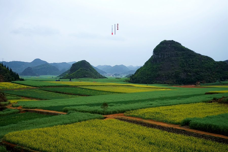 #2018春季花事# # 2018年3月17-23日随游侠客摄影团7日游东川红土地、罗平看油菜花、云阳红河哈尼族梯田、蒙自碧色寨《冯小刚芳华拍摄地》
