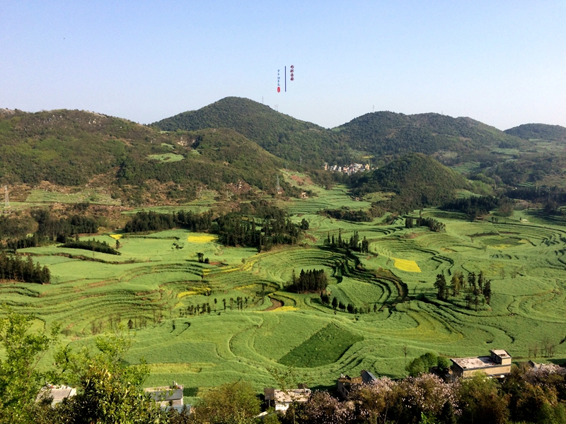 #2018春季花事# # 2018年3月17-23日随游侠客摄影团7日游东川红土地、罗平看油菜花、云阳红河哈尼族梯田、蒙自碧色寨《冯小刚芳华拍摄地》