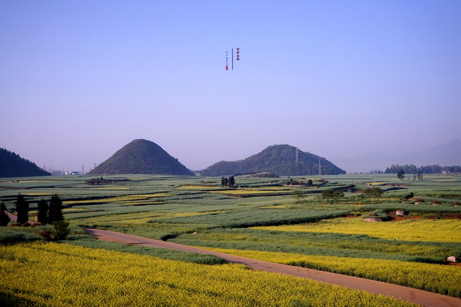 #2018春季花事# # 2018年3月17-23日随游侠客摄影团7日游东川红土地、罗平看油菜花、云阳红河哈尼族梯田、蒙自碧色寨《冯小刚芳华拍摄地》