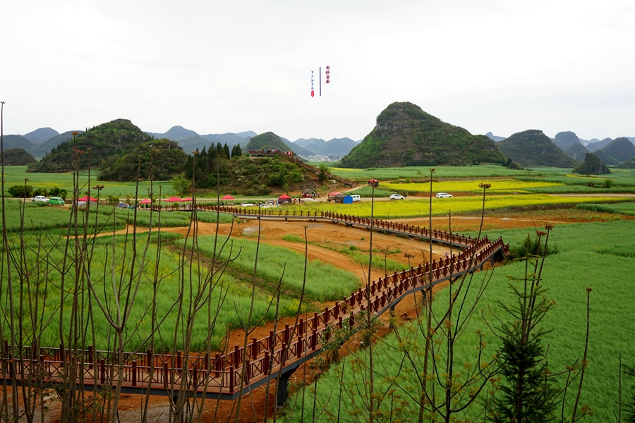 #2018春季花事# # 2018年3月17-23日随游侠客摄影团7日游东川红土地、罗平看油菜花、云阳红河哈尼族梯田、蒙自碧色寨《冯小刚芳华拍摄地》