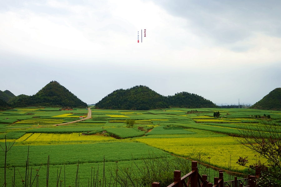 #2018春季花事# # 2018年3月17-23日随游侠客摄影团7日游东川红土地、罗平看油菜花、云阳红河哈尼族梯田、蒙自碧色寨《冯小刚芳华拍摄地》