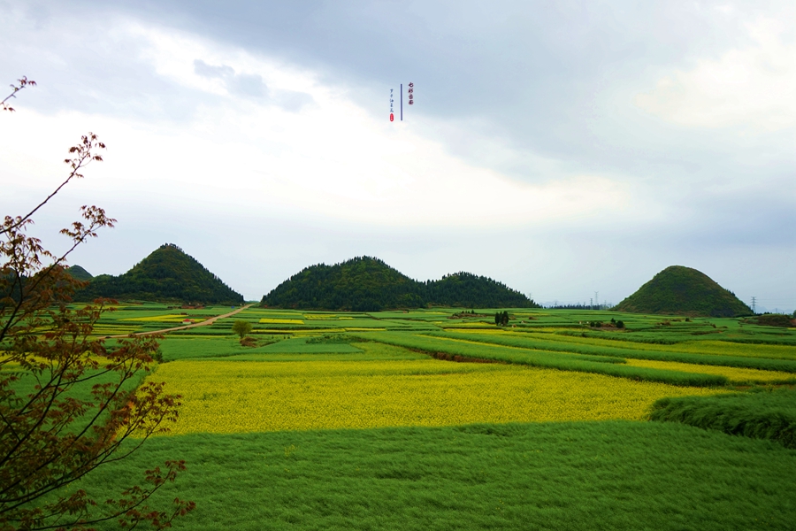#2018春季花事# # 2018年3月17-23日随游侠客摄影团7日游东川红土地、罗平看油菜花、云阳红河哈尼族梯田、蒙自碧色寨《冯小刚芳华拍摄地》