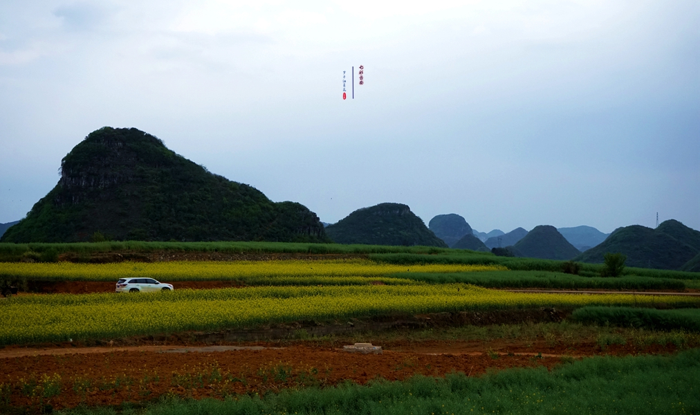 #2018春季花事# # 2018年3月17-23日随游侠客摄影团7日游东川红土地、罗平看油菜花、云阳红河哈尼族梯田、蒙自碧色寨《冯小刚芳华拍摄地》