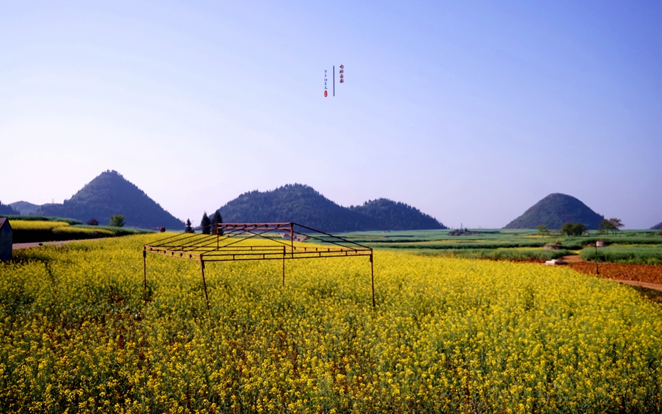 #2018春季花事# # 2018年3月17-23日随游侠客摄影团7日游东川红土地、罗平看油菜花、云阳红河哈尼族梯田、蒙自碧色寨《冯小刚芳华拍摄地》