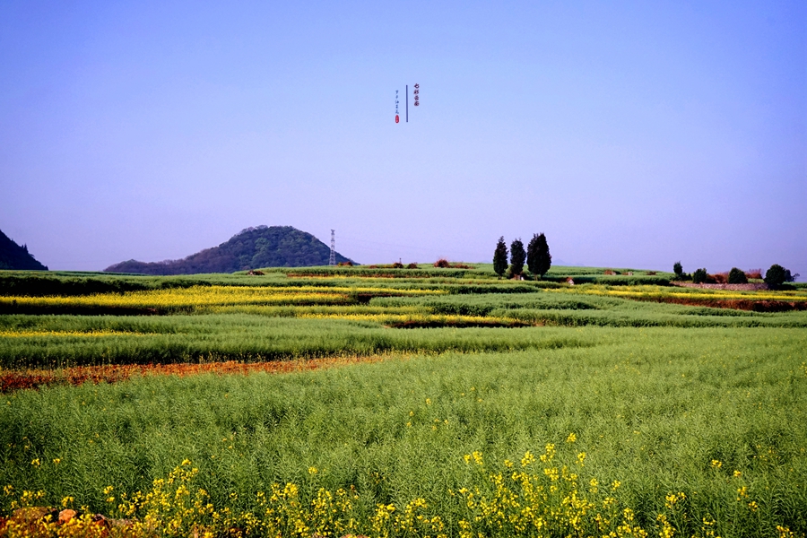 #2018春季花事# # 2018年3月17-23日随游侠客摄影团7日游东川红土地、罗平看油菜花、云阳红河哈尼族梯田、蒙自碧色寨《冯小刚芳华拍摄地》