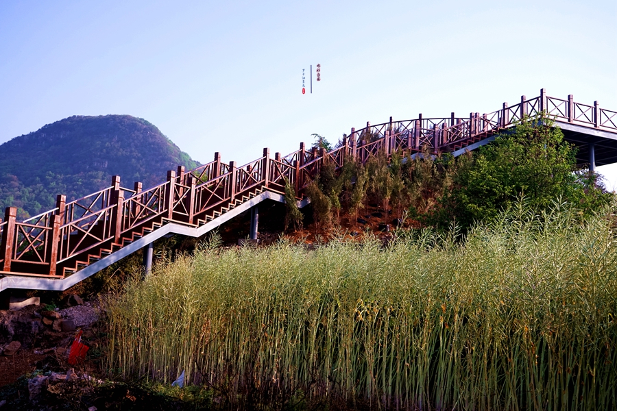 #2018春季花事# # 2018年3月17-23日随游侠客摄影团7日游东川红土地、罗平看油菜花、云阳红河哈尼族梯田、蒙自碧色寨《冯小刚芳华拍摄地》