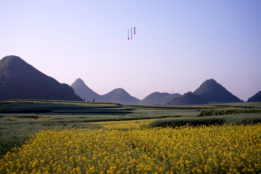 #2018春季花事# # 2018年3月17-23日随游侠客摄影团7日游东川红土地、罗平看油菜花、云阳红河哈尼族梯田、蒙自碧色寨《冯小刚芳华拍摄地》