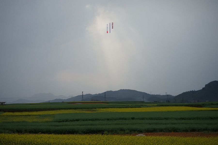 #2018春季花事# # 2018年3月17-23日随游侠客摄影团7日游东川红土地、罗平看油菜花、云阳红河哈尼族梯田、蒙自碧色寨《冯小刚芳华拍摄地》
