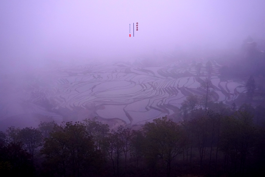 #2018春季花事# # 2018年3月17-23日随游侠客摄影团7日游东川红土地、罗平看油菜花、云阳红河哈尼族梯田、蒙自碧色寨《冯小刚芳华拍摄地》