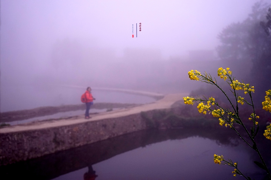 #2018春季花事# # 2018年3月17-23日随游侠客摄影团7日游东川红土地、罗平看油菜花、云阳红河哈尼族梯田、蒙自碧色寨《冯小刚芳华拍摄地》
