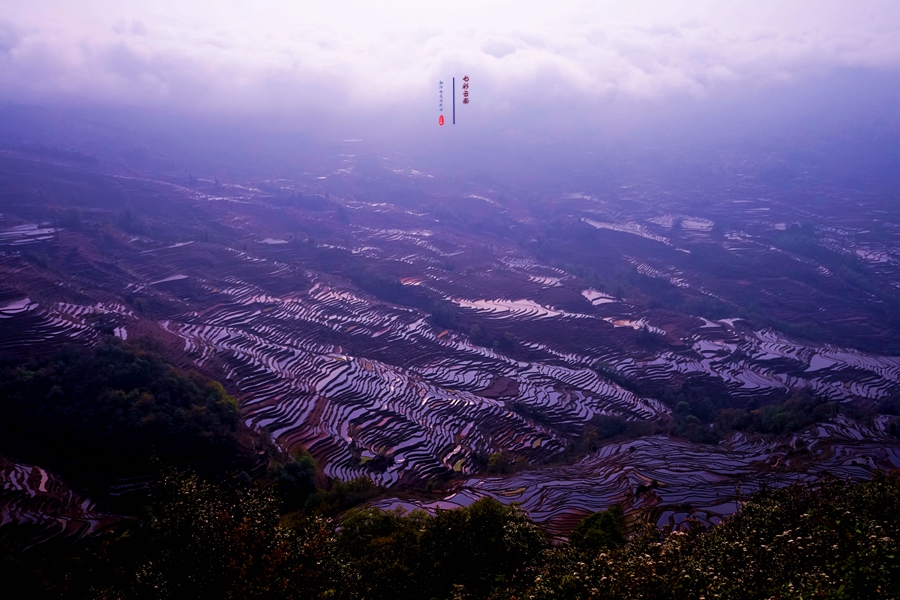 #2018春季花事# # 2018年3月17-23日随游侠客摄影团7日游东川红土地、罗平看油菜花、云阳红河哈尼族梯田、蒙自碧色寨《冯小刚芳华拍摄地》