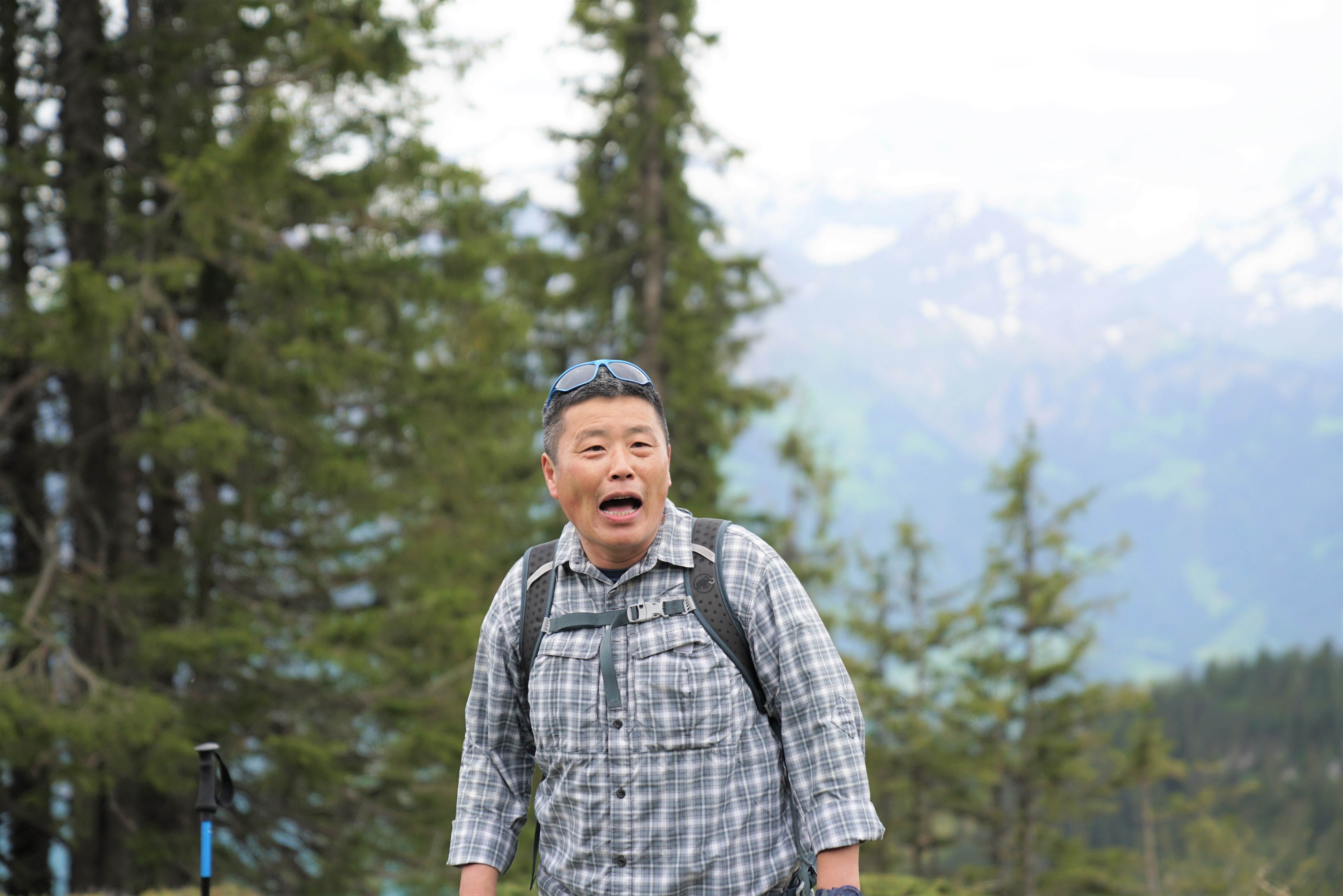 #2018春季花事#瑞士轻徒步:行走在阿尔卑斯山巅
