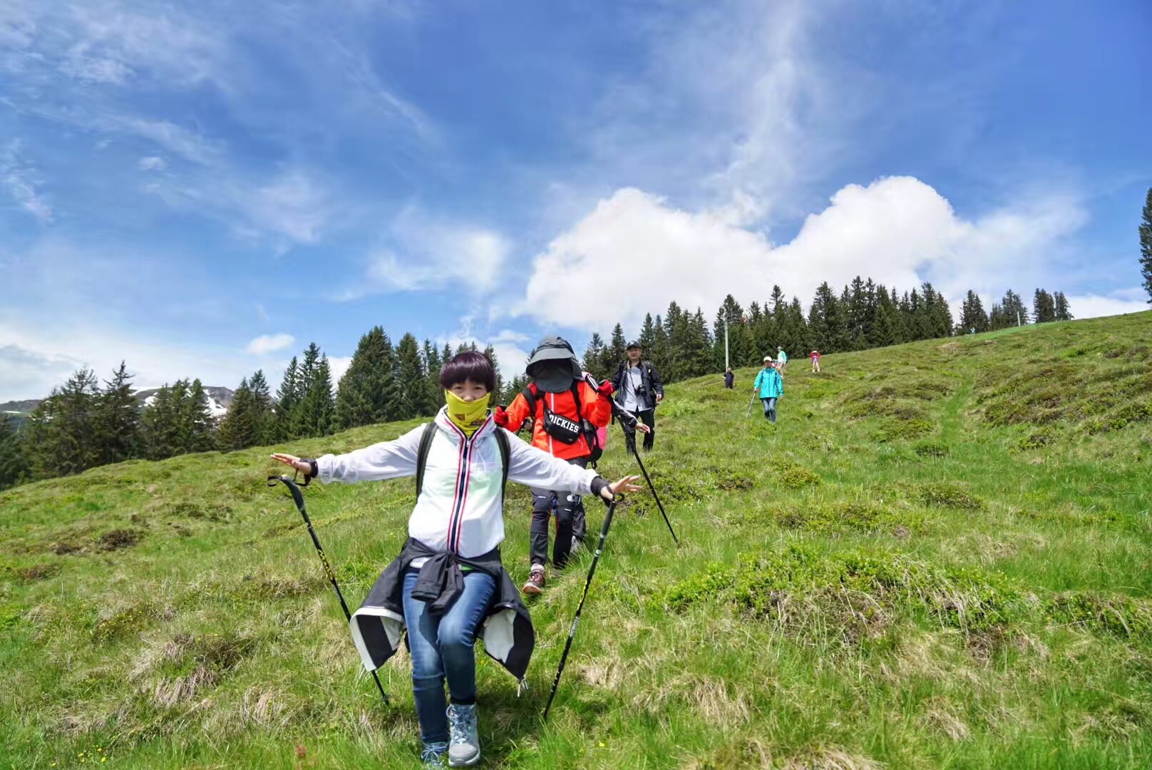 #2018春季花事#瑞士轻徒步:行走在阿尔卑斯山巅