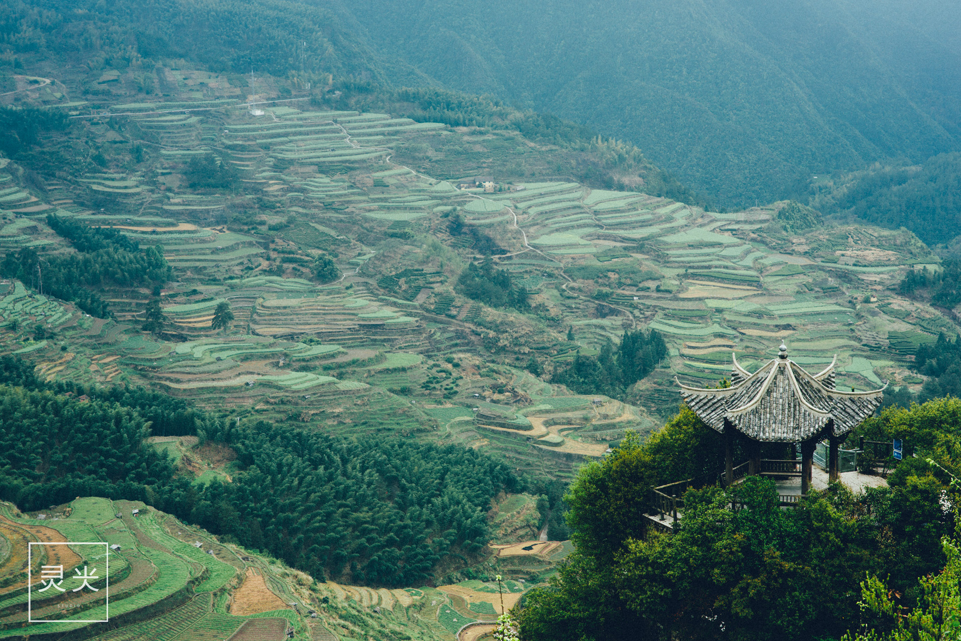 用1000元去遂昌 看山看云看梯田