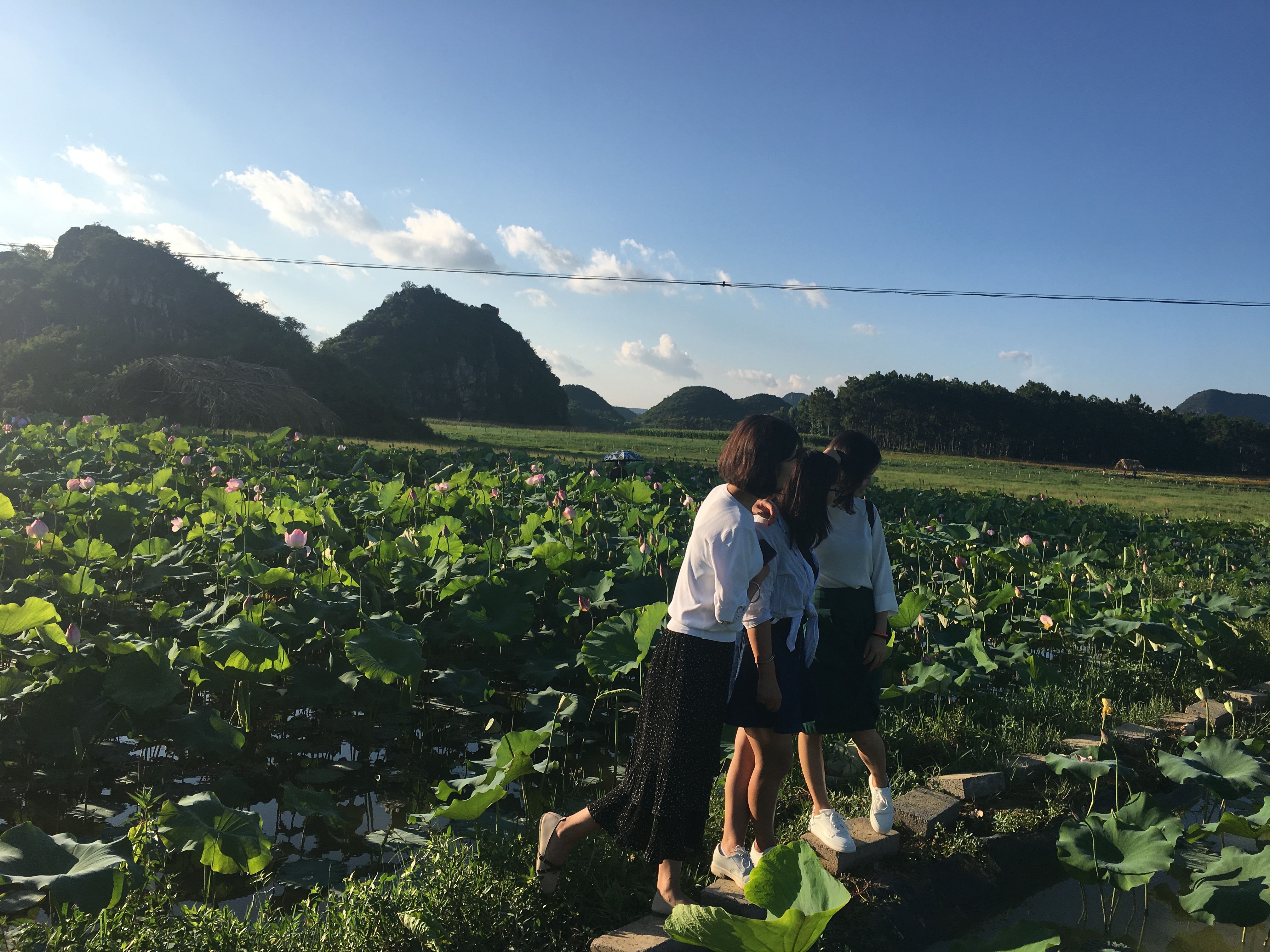 #游侠报道# 萨瓦迪卡,我是春雨里的菜鸟,坐标昆明,打个新人卡~