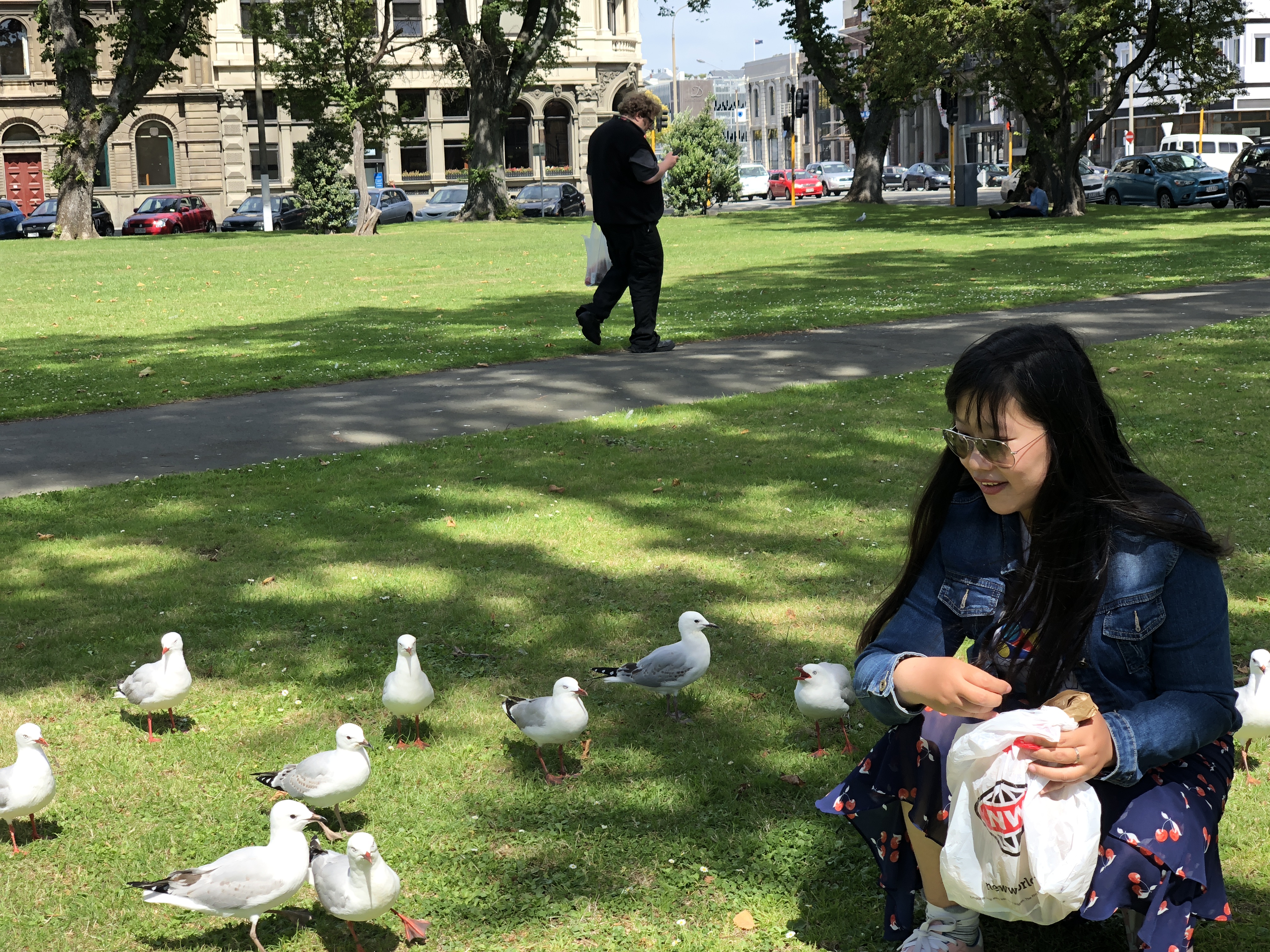 (更新完毕,大量美图)梦幻新西兰——南北岛自驾15日游