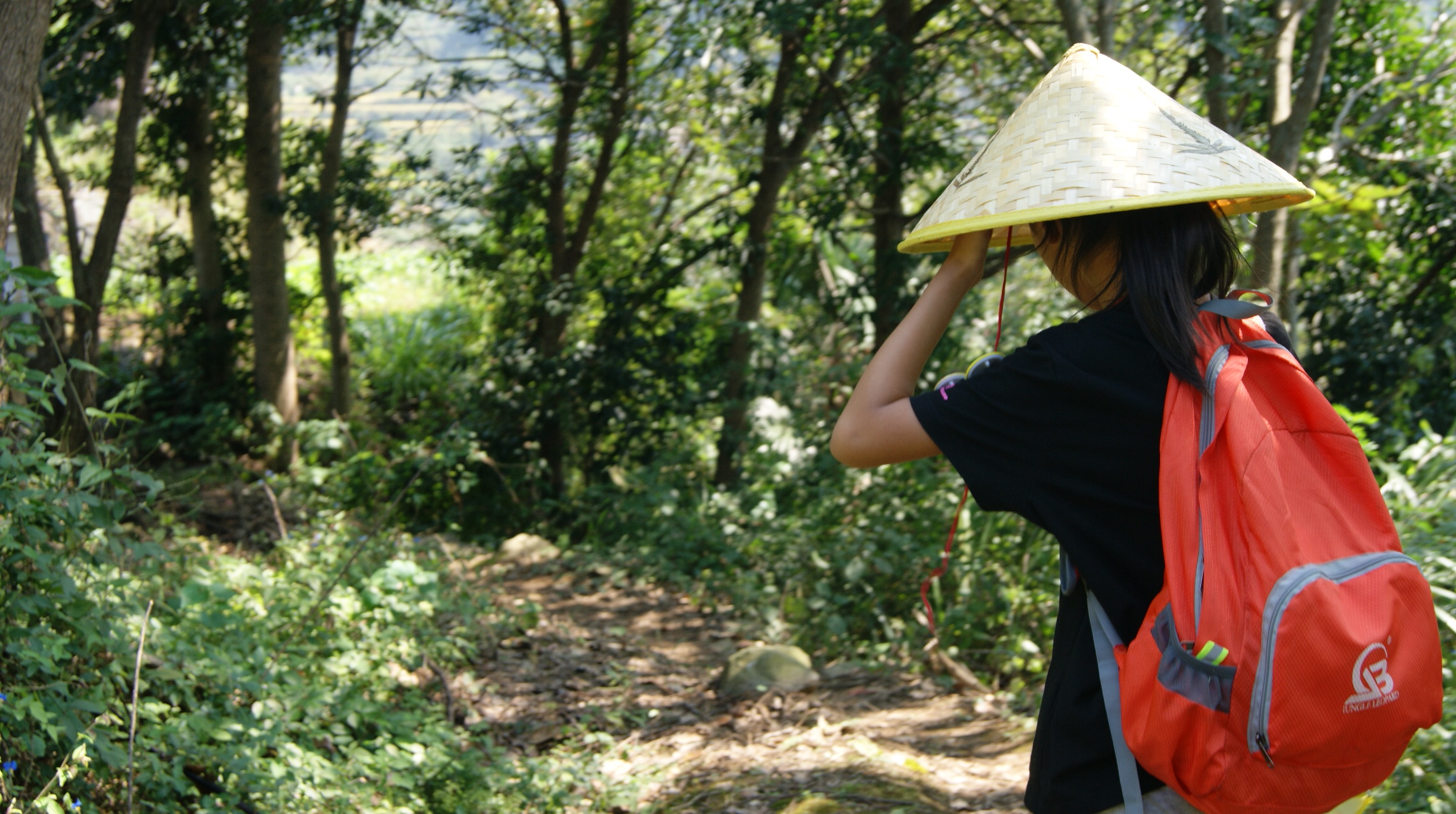 覆卮山滑草图片