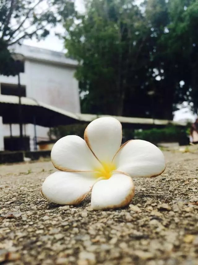 #游侠报道# 梓木路过这座诗意的城
