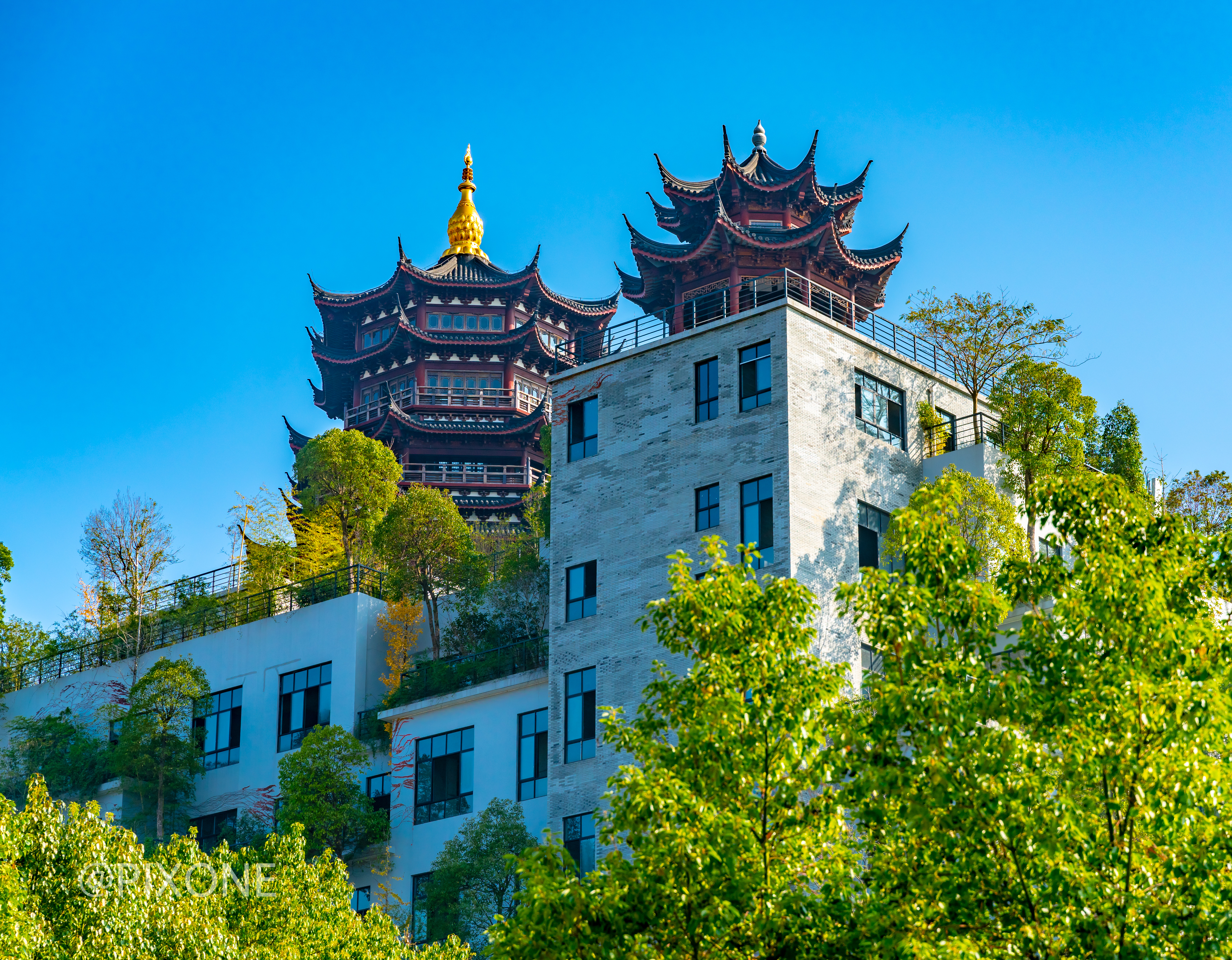 自驾纯玩,跟着我去龙游看龙游石窟,红木小镇,住生态园,浙江旅游攻略