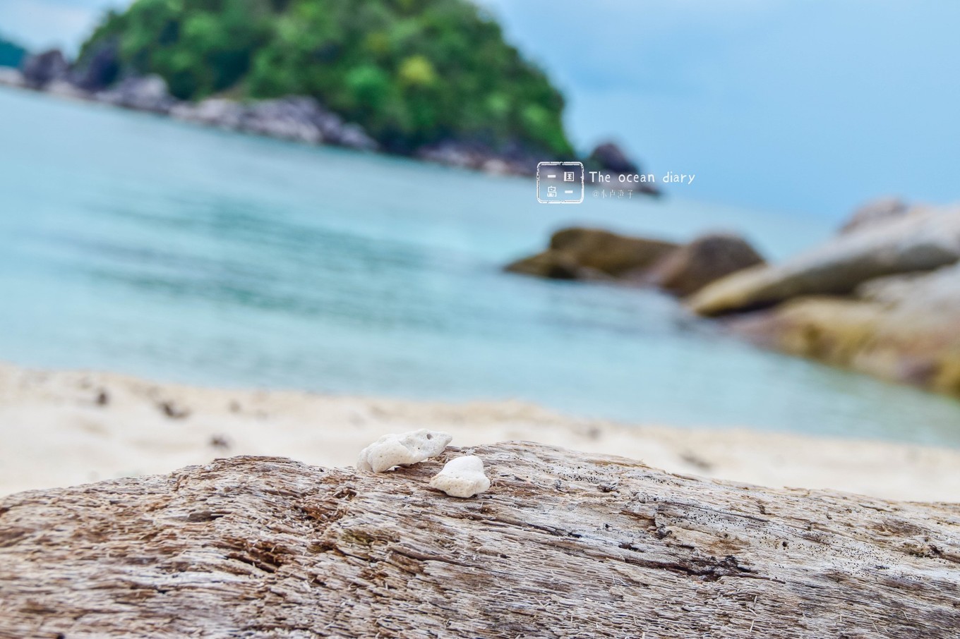 #攻略投稿# #海岛漫游记# 一国一岛の澄子札记 || the ocean diary(附大马丽贝岛详细干货攻略)