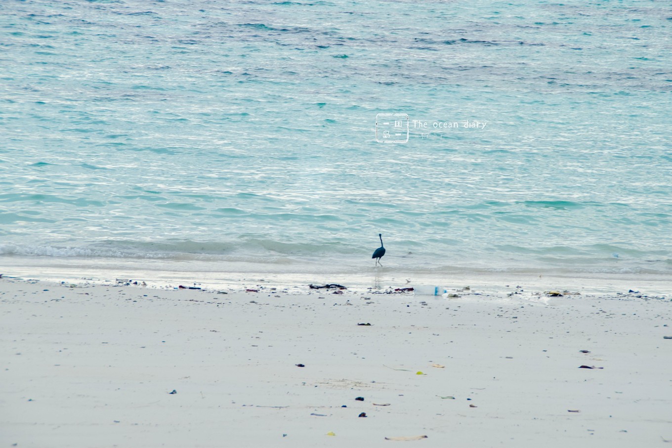 #攻略投稿# #海岛漫游记# 一国一岛の澄子札记 || the ocean diary(附大马丽贝岛详细干货攻略)