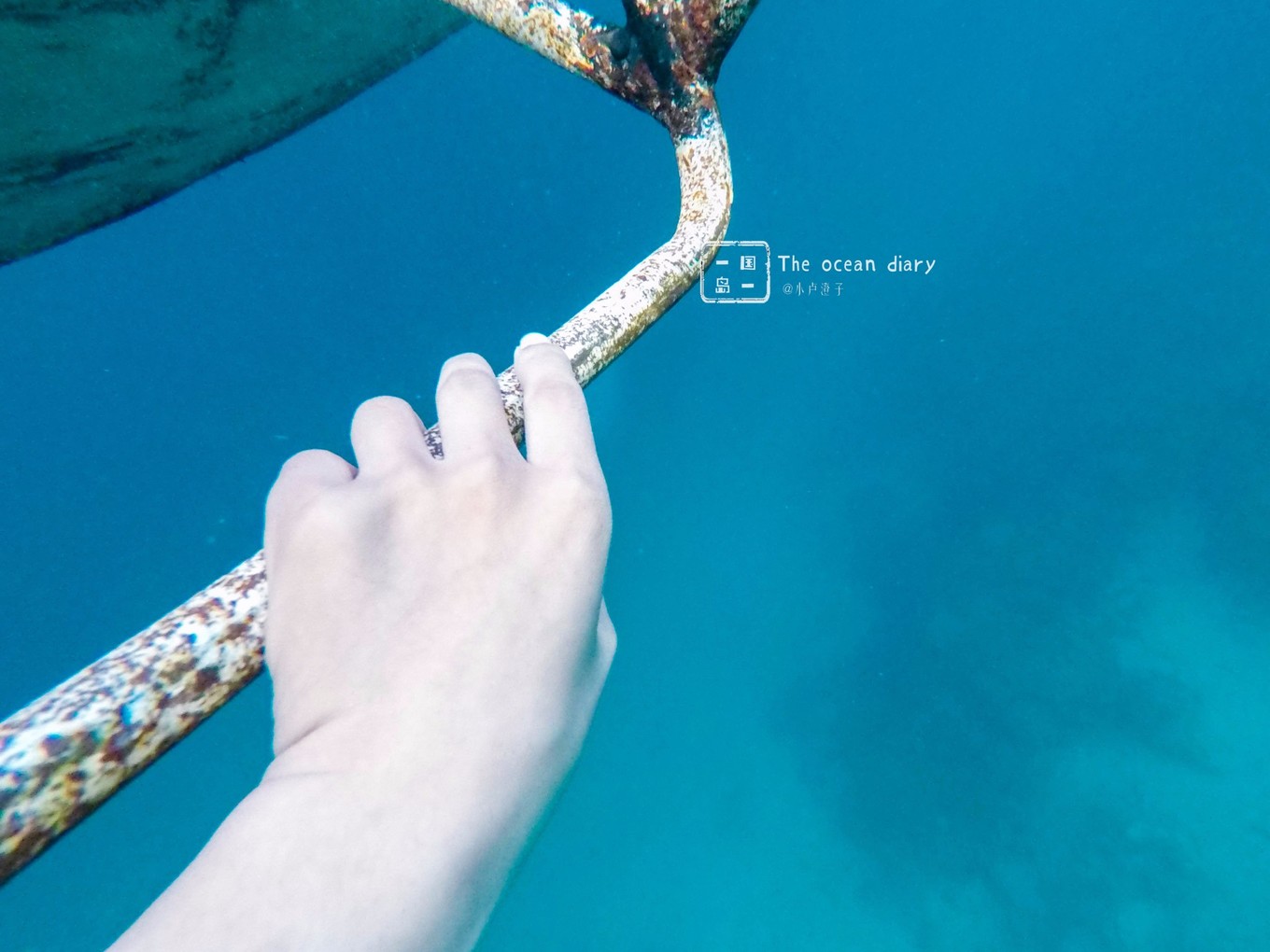 #攻略投稿# #海岛漫游记# 一国一岛の澄子札记 || the ocean diary(附大马丽贝岛详细干货攻略)