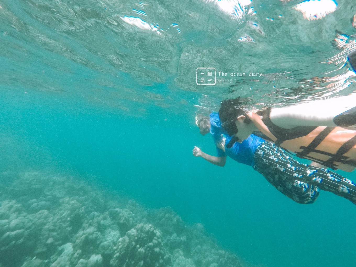 #攻略投稿# #海岛漫游记# 一国一岛の澄子札记 || the ocean diary(附大马丽贝岛详细干货攻略)